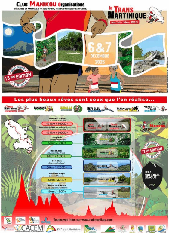 1206 TRANS M affiche