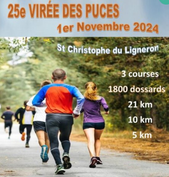 1101 Virée affiche 